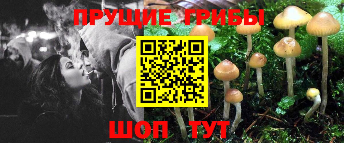 Псилоцибиновые грибы Psilocybe  Вход с VPN  Волжский  Галлюциногенные грибы Psilocybine cubensis 