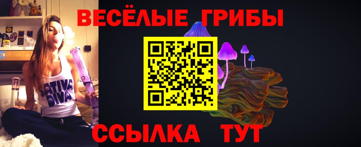 Бошки Шишки Волжский